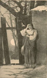 Verlaten zanger